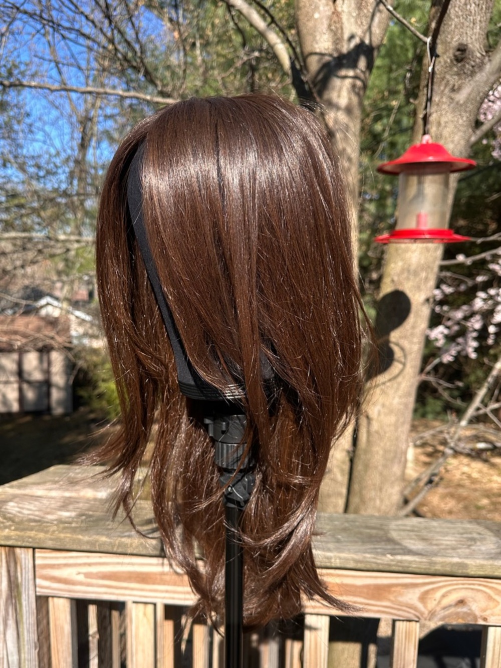Raquel Welch Mesmerized Hand tied, lace front, mono top wig, Black Coffee